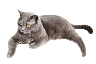 Similar image 18569286