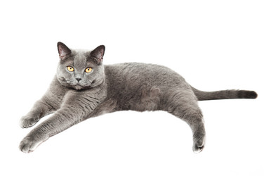 Similar image 18569330