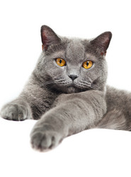 Similar image 18569491