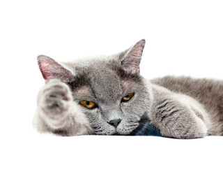 Similar image 18569777