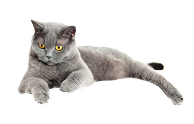 Similar image 18569791