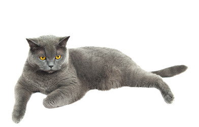 Similar image 18570010