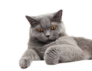 Similar image 18570115