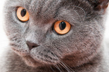 Similar image 18570266