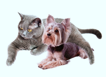 Similar image 18570142