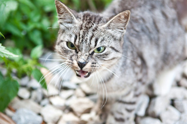 Similar image 18570316