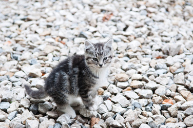 Similar image 18570454