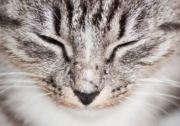 Similar image 18570128