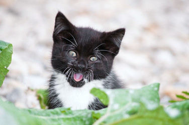 Similar image 18570169