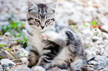 Similar image 18570328