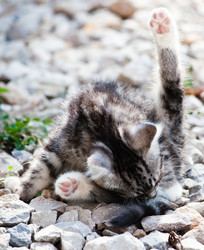 Similar image 18570376