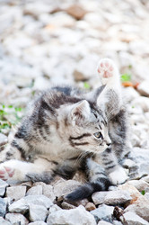 Similar image 18572398