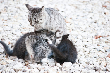 Similar image 18572470