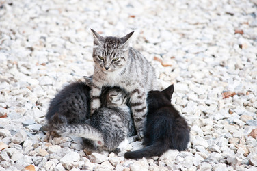 Similar image 18572708