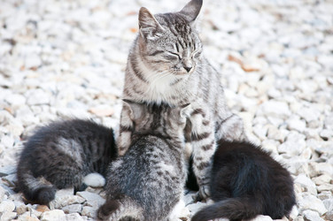 Similar image 18572541