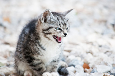 Similar image 18572726