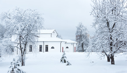 Similar image 18137035