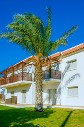 Similar image 18137037