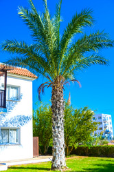 Similar image 18137131