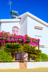 Similar image 18137137