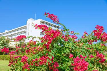 Similar image 18137475