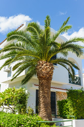 Similar image 18137548