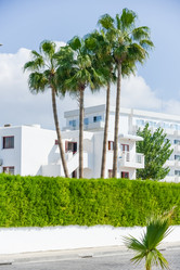 Similar image 18137807