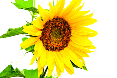 Similar image 18547971