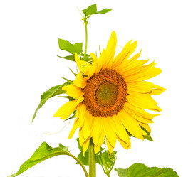 Similar image 18549096