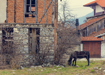 Similar image 18844929