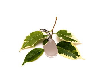 Similar image 18573876