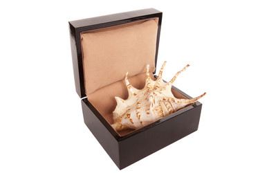 Similar image 18844578