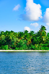 Similar image 18844701