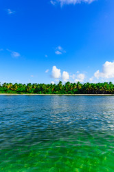 Similar image 18844703