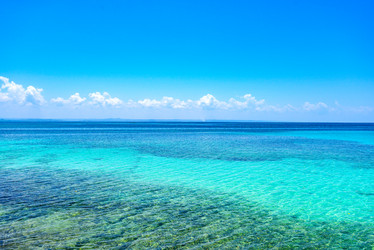 Similar image 18844707