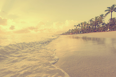 Similar image 18844720