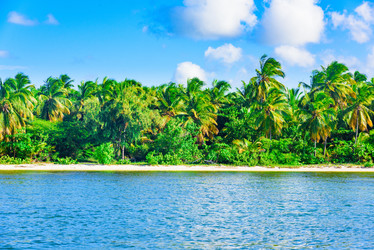 Similar image 18844723