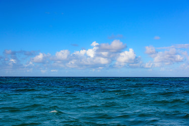 Similar image 18844737