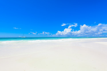 Similar image 18844739