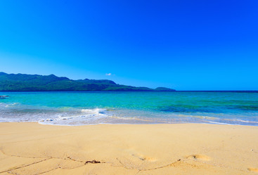 Similar image 18844759