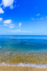 Similar image 18844771