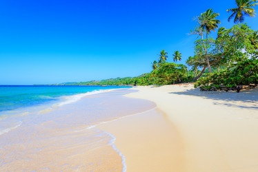 Similar image 18844786