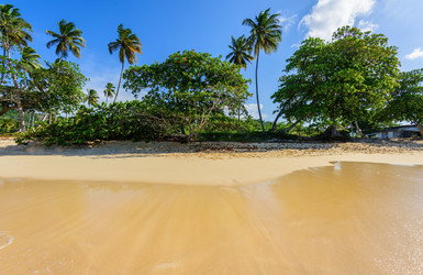 Similar image 18844804