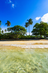 Similar image 18844840