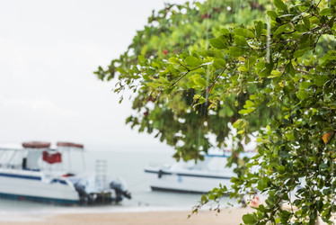 Similar image 18844862