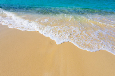 Similar image 18844863