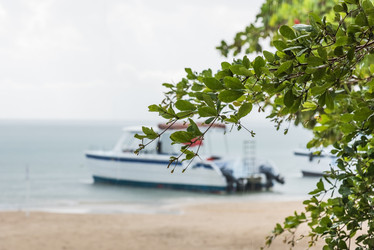 Similar image 18844864