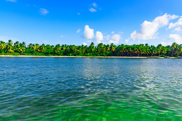 Similar image 18844902