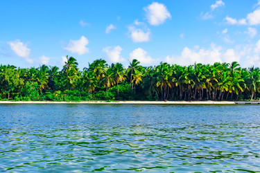 Similar image 18844921