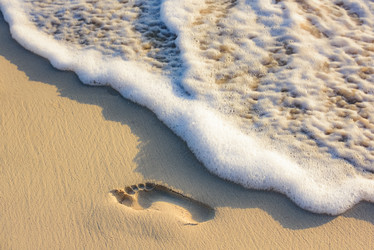 Similar image 18844951